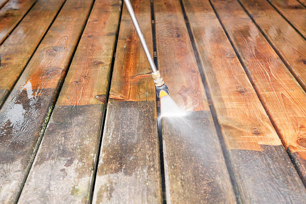 Animal Enclosure Cleaning in Lake Summerset, IL